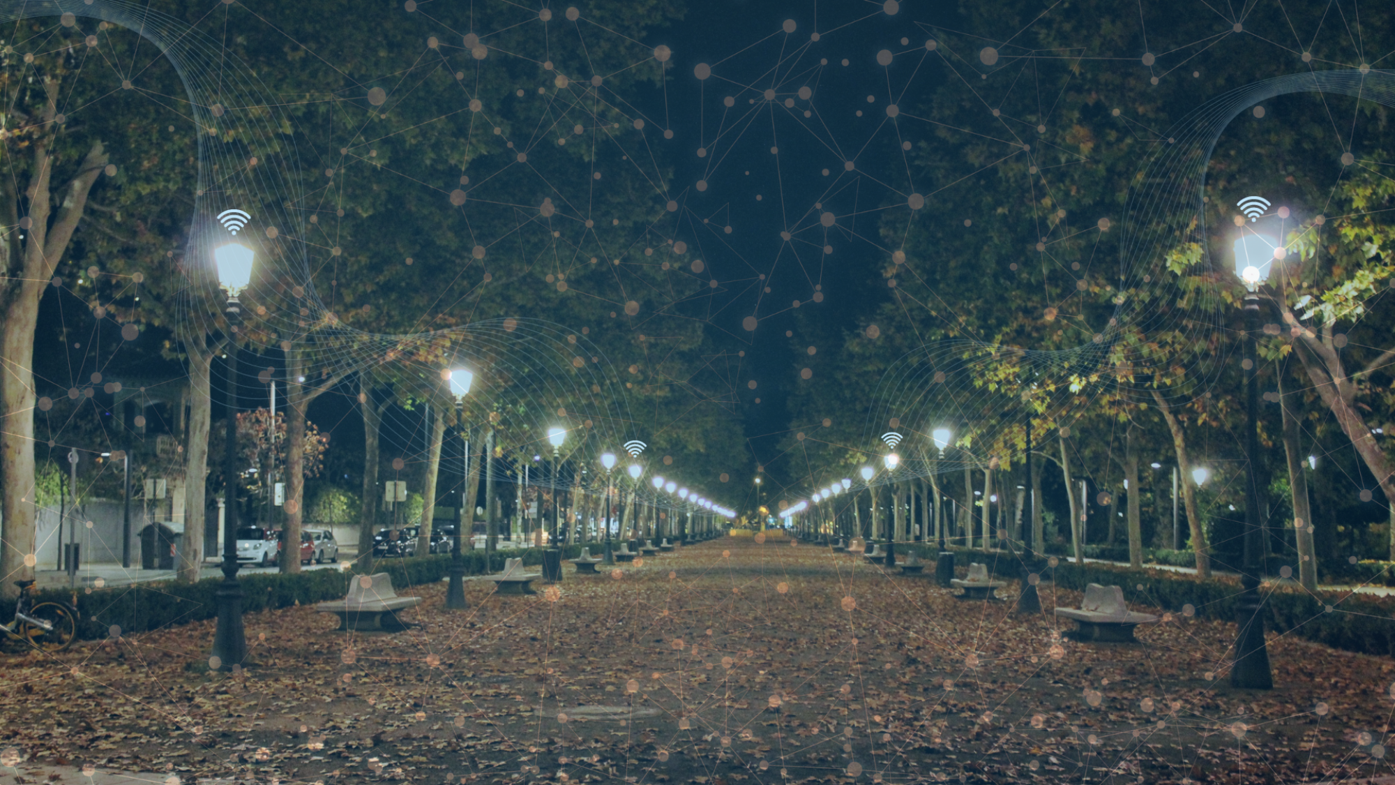 Outdoor path with lights